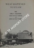 Book cover of What Happened to Steam by HANDS, Peter